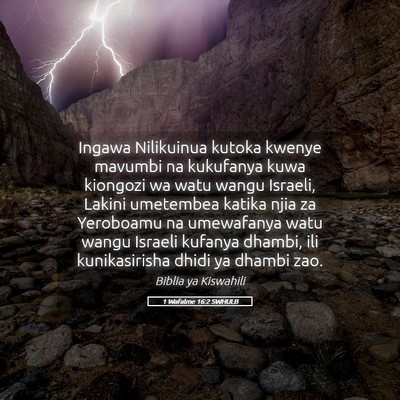 Picture 05 - 1 Wafalme 16:2 SWHULB - Ingawa Nilikuinua kutoka kwenye mavumbi na - Bible Verse Picture