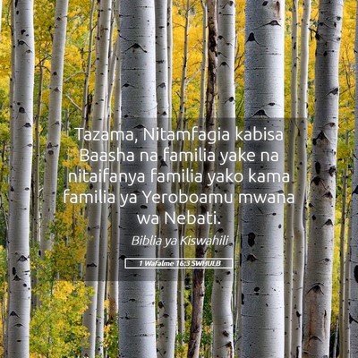 Picture 05 - 1 Wafalme 16:3 SWHULB - Tazama, Nitamfagia kabisa Baasha na familia yake - Bible Verse Picture