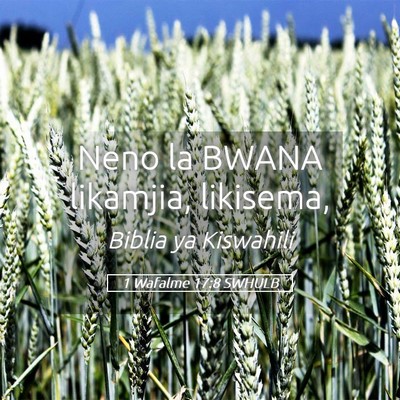 Picture 05 - 1 Wafalme 17:8 SWHULB - Neno la BWANA likamjia, - Bible Verse Picture