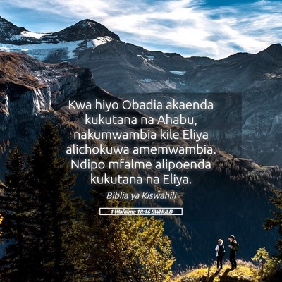 Picture 05 - 1 Wafalme 18:16 SWHULB - Kwa hiyo Obadia akaenda kukutana na Ahabu, - Bible Verse Picture