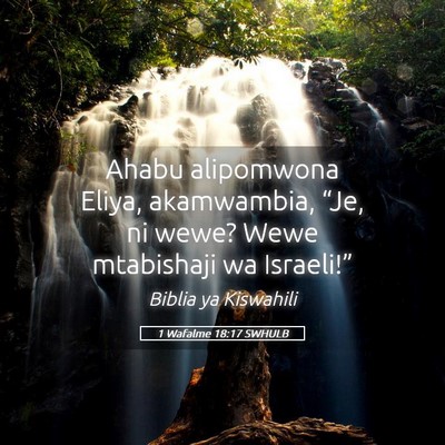 Picture 05 - 1 Wafalme 18:17 SWHULB - Ahabu alipomwona Eliya, akamwambia, “Je, ni - Bible Verse Picture