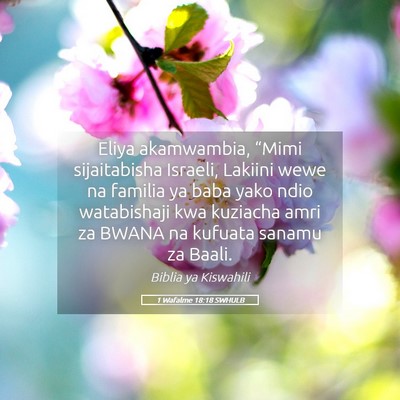 Picture 05 - 1 Wafalme 18:18 SWHULB - Eliya akamwambia, “Mimi sijaitabisha Israeli, - Bible Verse Picture