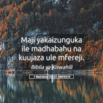 Picture 05 - 1 Wafalme 18:35 SWHULB - Maji yakaizunguka ile madhabahu na kuujaza ule - Bible Verse Picture