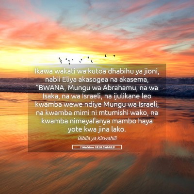 Picture 05 - 1 Wafalme 18:36 SWHULB - Ikawa wakati wa kutoa dhabihu ya jioni, nabii - Bible Verse Picture