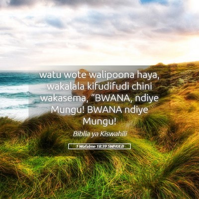 Picture 05 - 1 Wafalme 18:39 SWHULB - watu wote walipoona haya, wakalala kifudifudi - Bible Verse Picture