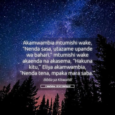 Picture 05 - 1 Wafalme 18:43 SWHULB - Akamwambia mtumishi wake, “Nenda sasa, utazame - Bible Verse Picture