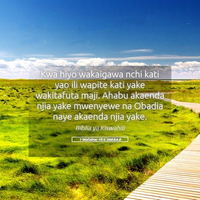 Picture 05 - 1 Wafalme 18:6 SWHULB - Kwa hiyo wakaigawa nchi kati yao ili wapite kati - Bible Verse Picture