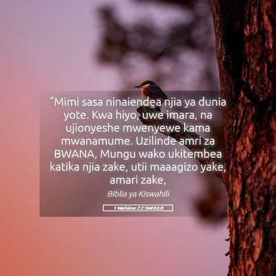 Picture 05 - 1 Wafalme 2:2 SWHULB - “Mimi sasa ninaiendea njia ya dunia yote. Kwa - Bible Verse Picture