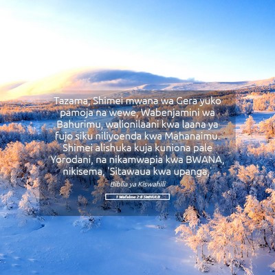 Picture 05 - 1 Wafalme 2:8 SWHULB - Tazama, Shimei mwana wa Gera yuko pamoja na wewe, - Bible Verse Picture