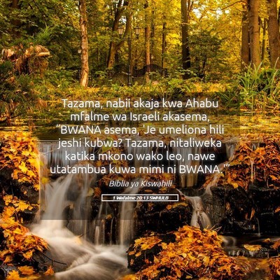 Picture 05 - 1 Wafalme 20:13 SWHULB - Tazama, nabii akaja kwa Ahabu mfalme wa Israeli - Bible Verse Picture