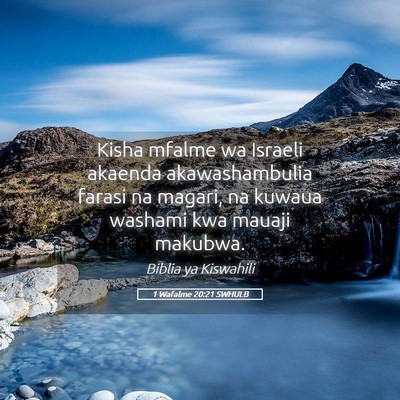 Picture 05 - 1 Wafalme 20:21 SWHULB - Kisha mfalme wa Israeli akaenda akawashambulia - Bible Verse Picture