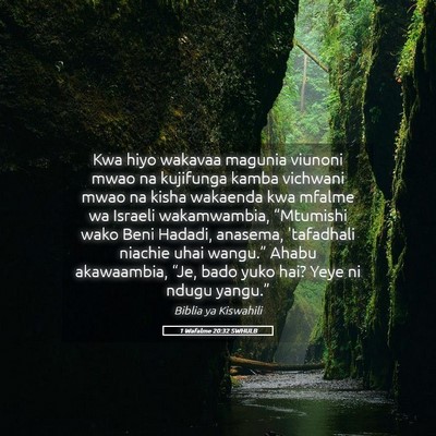 Picture 05 - 1 Wafalme 20:32 SWHULB - Kwa hiyo wakavaa magunia viunoni mwao na - Bible Verse Picture