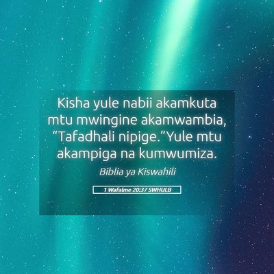 Picture 05 - 1 Wafalme 20:37 SWHULB - Kisha yule nabii akamkuta mtu mwingine - Bible Verse Picture