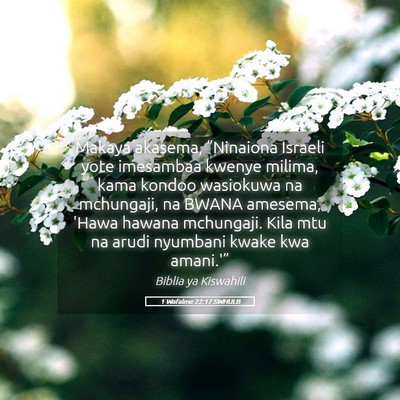 Picture 05 - 1 Wafalme 22:17 SWHULB - Makaya akasema, “Ninaiona Israeli yote - Bible Verse Picture