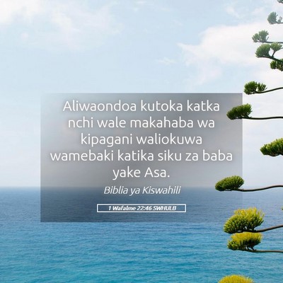 Picture 05 - 1 Wafalme 22:46 SWHULB - Aliwaondoa kutoka katka nchi wale makahaba wa - Bible Verse Picture
