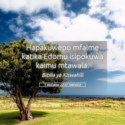 Picture 05 - 1 Wafalme 22:47 SWHULB - Hapakuwepo mfalme katika Edomu isipokuwa kaimu - Bible Verse Picture