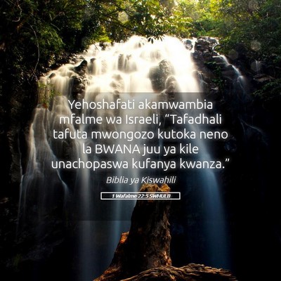 Picture 05 - 1 Wafalme 22:5 SWHULB - Yehoshafati akamwambia mfalme wa Israeli, - Bible Verse Picture