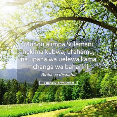 Picture 05 - 1 Wafalme 4:29 SWHULB - Mungu alimpa Sulemani hekima kubwa, ufahamu, na - Bible Verse Picture