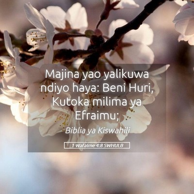 Picture 05 - 1 Wafalme 4:8 SWHULB - Majina yao yalikuwa ndiyo haya: Beni Huri, Kutoka - Bible Verse Picture