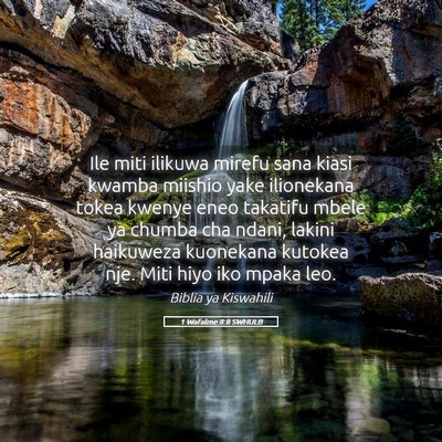 Picture 05 - 1 Wafalme 8:8 SWHULB - Ile miti ilikuwa mirefu sana kiasi kwamba miishio - Bible Verse Picture