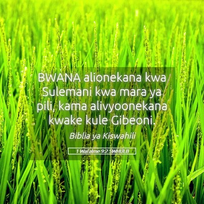 Picture 05 - 1 Wafalme 9:2 SWHULB - BWANA alionekana kwa Sulemani kwa mara ya pili, - Bible Verse Picture