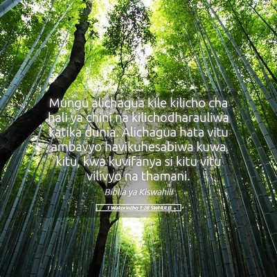 Picture 05 - 1 Wakorintho 1:28 SWHULB - Mungu alichagua kile kilicho cha hali ya chini na - Bible Verse Picture