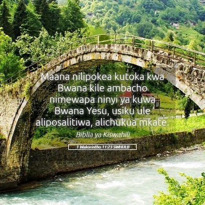 Picture 05 - 1 Wakorintho 11:23 SWHULB - Maana nilipokea kutoka kwa Bwana kile ambacho - Bible Verse Picture