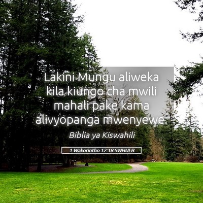 Picture 05 - 1 Wakorintho 12:18 SWHULB - Lakini Mungu aliweka kila kiungo cha mwili mahali - Bible Verse Picture