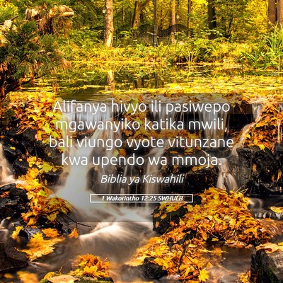 Picture 05 - 1 Wakorintho 12:25 SWHULB - Alifanya hivyo ili pasiwepo mgawanyiko katika - Bible Verse Picture