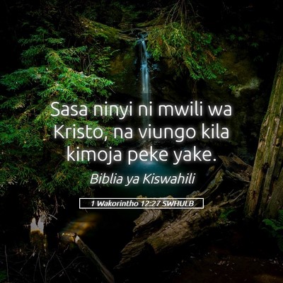 Picture 05 - 1 Wakorintho 12:27 SWHULB - Sasa ninyi ni mwili wa Kristo, na viungo kila - Bible Verse Picture