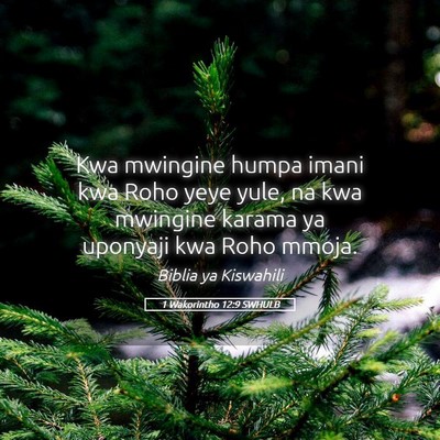 Picture 05 - 1 Wakorintho 12:9 SWHULB - Kwa mwingine humpa imani kwa Roho yeye yule, na - Bible Verse Picture