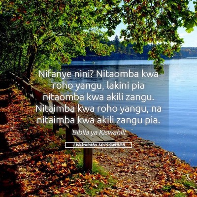 Picture 05 - 1 Wakorintho 14:15 SWHULB - Nifanye nini? Nitaomba kwa roho yangu, lakini pia - Bible Verse Picture