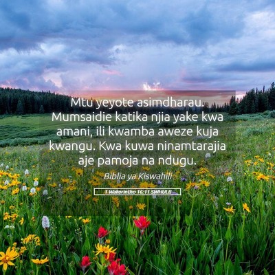 Picture 05 - 1 Wakorintho 16:11 SWHULB - Mtu yeyote asimdharau. Mumsaidie katika njia yake - Bible Verse Picture