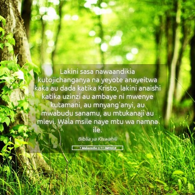Picture 05 - 1 Wakorintho 5:11 SWHULB - Lakini sasa nawaandikia kutojichanganya na yeyote - Bible Verse Picture