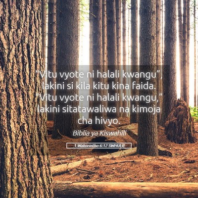 Picture 05 - 1 Wakorintho 6:12 SWHULB - “Vitu vyote ni halali kwangu”, lakini si kila - Bible Verse Picture