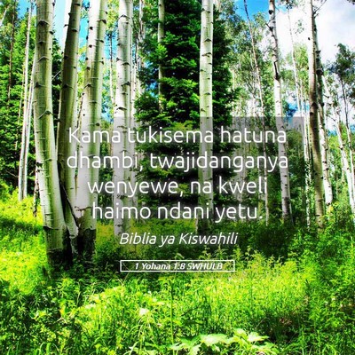 Picture 05 - 1 Yohana 1:8 SWHULB - Kama tukisema hatuna dhambi, twajidanganya - Bible Verse Picture
