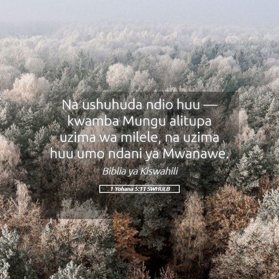 Picture 05 - 1 Yohana 5:11 SWHULB - Na ushuhuda ndio huu — kwamba Mungu alitupa - Bible Verse Picture