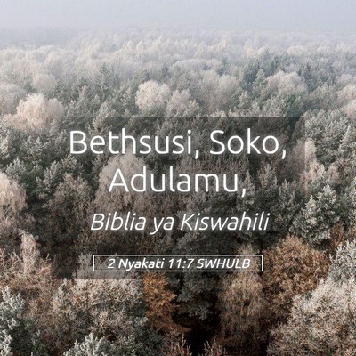 Picture 05 - 2 Nyakati 11:7 SWHULB - Bethsusi, Soko, - Bible Verse Picture