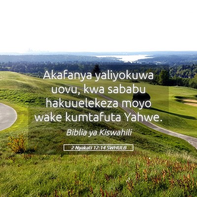 Picture 05 - 2 Nyakati 12:14 SWHULB - Akafanya yaliyokuwa uovu, kwa sababu hakuuelekeza - Bible Verse Picture