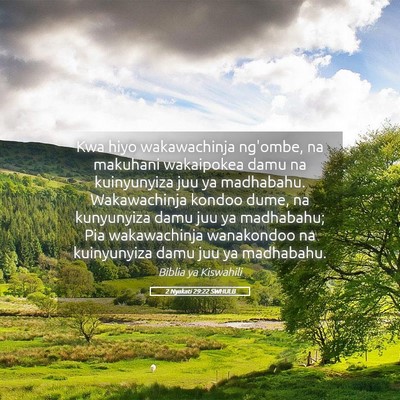 Picture 05 - 2 Nyakati 29:22 SWHULB - Kwa hiyo wakawachinja ng'ombe, na makuhani - Bible Verse Picture