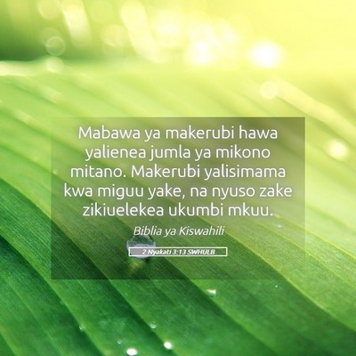 Picture 05 - 2 Nyakati 3:13 SWHULB - Mabawa ya makerubi hawa yalienea jumla ya mikono - Bible Verse Picture