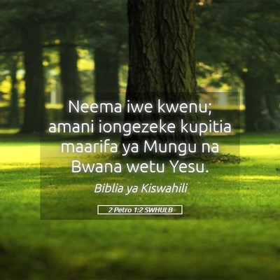 Picture 05 - 2 Petro 1:2 SWHULB - Neema iwe kwenu; amani iongezeke kupitia maarifa - Bible Verse Picture