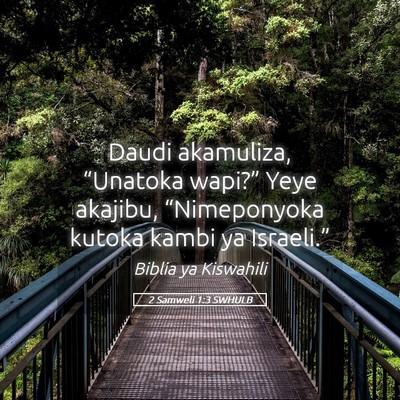 Picture 05 - 2 Samweli 1:3 SWHULB - Daudi akamuliza, “Unatoka wapi?” Yeye - Bible Verse Picture