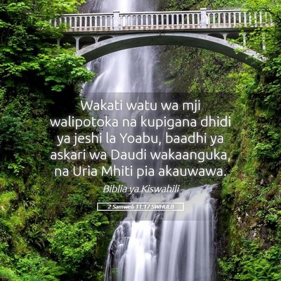 Picture 05 - 2 Samweli 11:17 SWHULB - Wakati watu wa mji walipotoka na kupigana dhidi - Bible Verse Picture