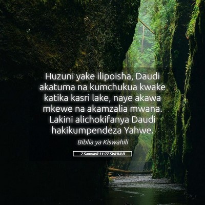 Picture 05 - 2 Samweli 11:27 SWHULB - Huzuni yake ilipoisha, Daudi akatuma na kumchukua - Bible Verse Picture