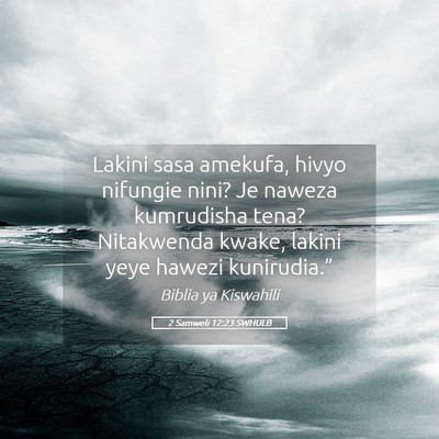 Picture 05 - 2 Samweli 12:23 SWHULB - Lakini sasa amekufa, hivyo nifungie nini? Je - Bible Verse Picture