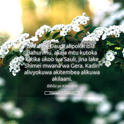 Picture 05 - 2 Samweli 16:5 SWHULB - Mfalme Daudi alipokaribia Bahurimu, akaja mtu - Bible Verse Picture