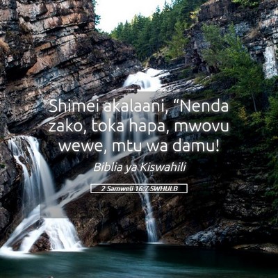 Picture 05 - 2 Samweli 16:7 SWHULB - Shimei akalaani, “Nenda zako, toka hapa, mwovu - Bible Verse Picture
