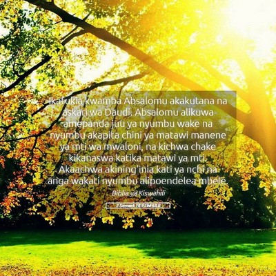 Picture 05 - 2 Samweli 18:9 SWHULB - Ikatukia kwamba Absalomu akakutana na askari wa - Bible Verse Picture