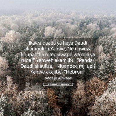 Picture 05 - 2 Samweli 2:1 SWHULB - Ikawa baada ya haya Daudi akamuuliza Yahwe, “Je - Bible Verse Picture